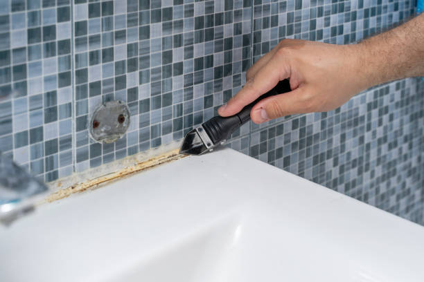Best Mold Testing and Inspection Services in Antwerp, OH