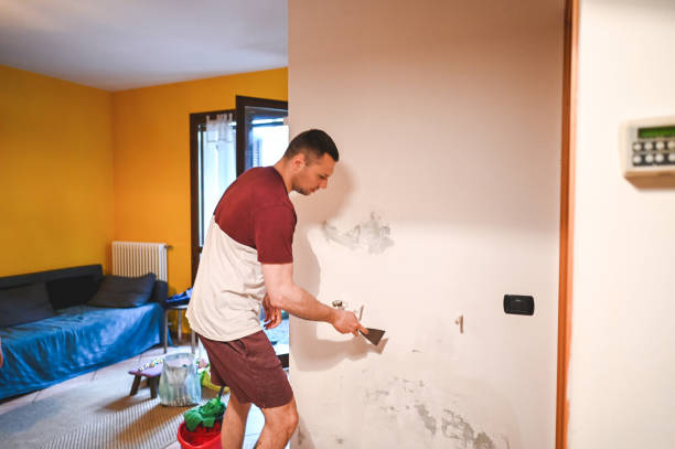 Best Attic Mold Remediation in Antwerp, OH